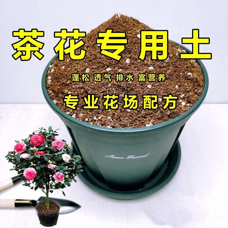 山茶花专用土弱酸性家庭种植土花卉盆栽土通用型花泥透气排水植料
