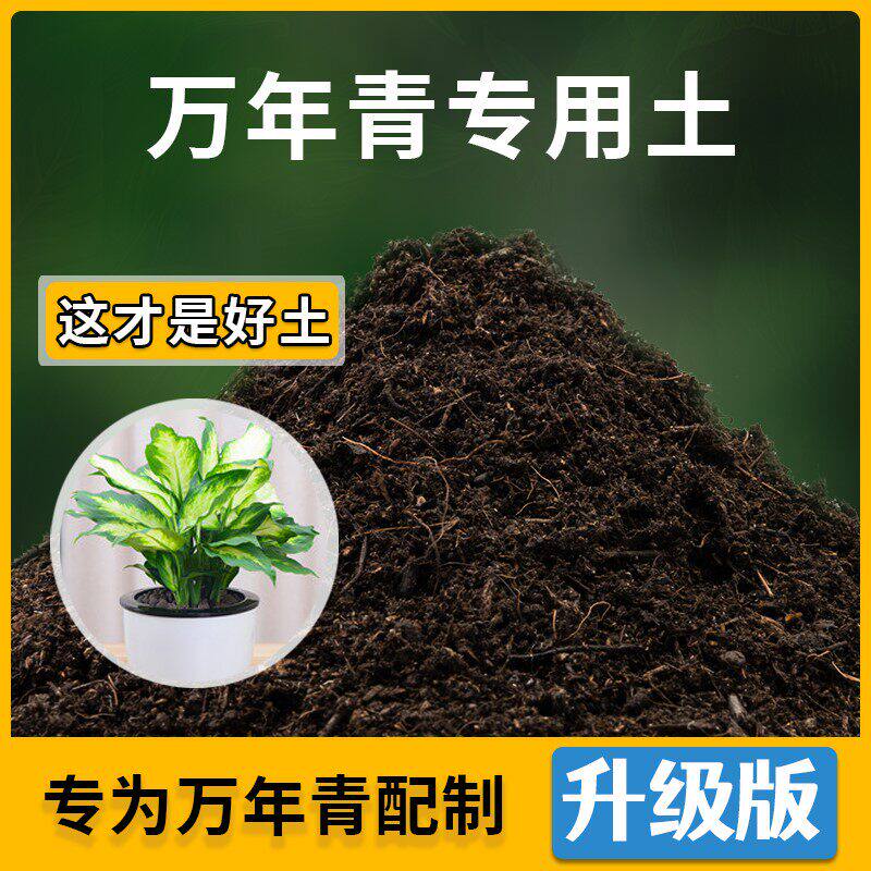 万年青专用土家用种植土壤透气万年青营养土盆栽种花养花有机土