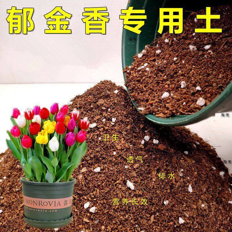 郁金香专用土风信子种球根营养土养花通用弱酸性家庭种植土壤特配