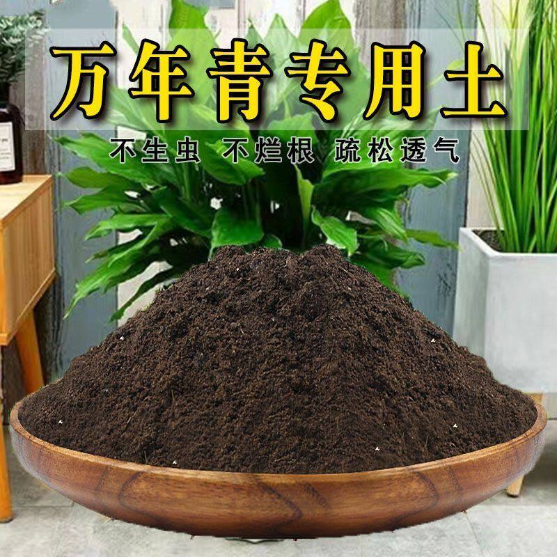 万年青专用土万年青专用营养土养花土壤种植土盆栽绿植土有机肥料