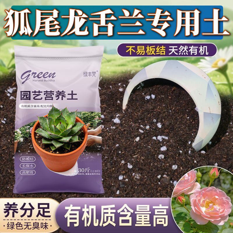 狐尾龙舌兰专用种菜土不烂根扦插加牛粪无菌增色观叶花园包邮多肉