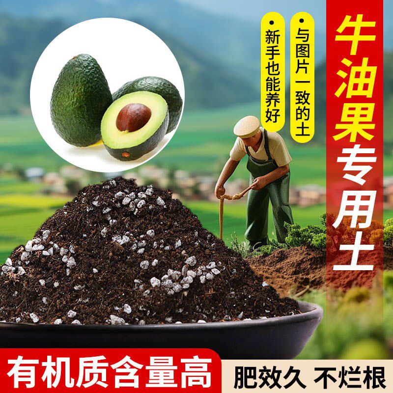 牛油果营养土专用土疏松透气含泥炭肥料通用有机种植土轻质土壤