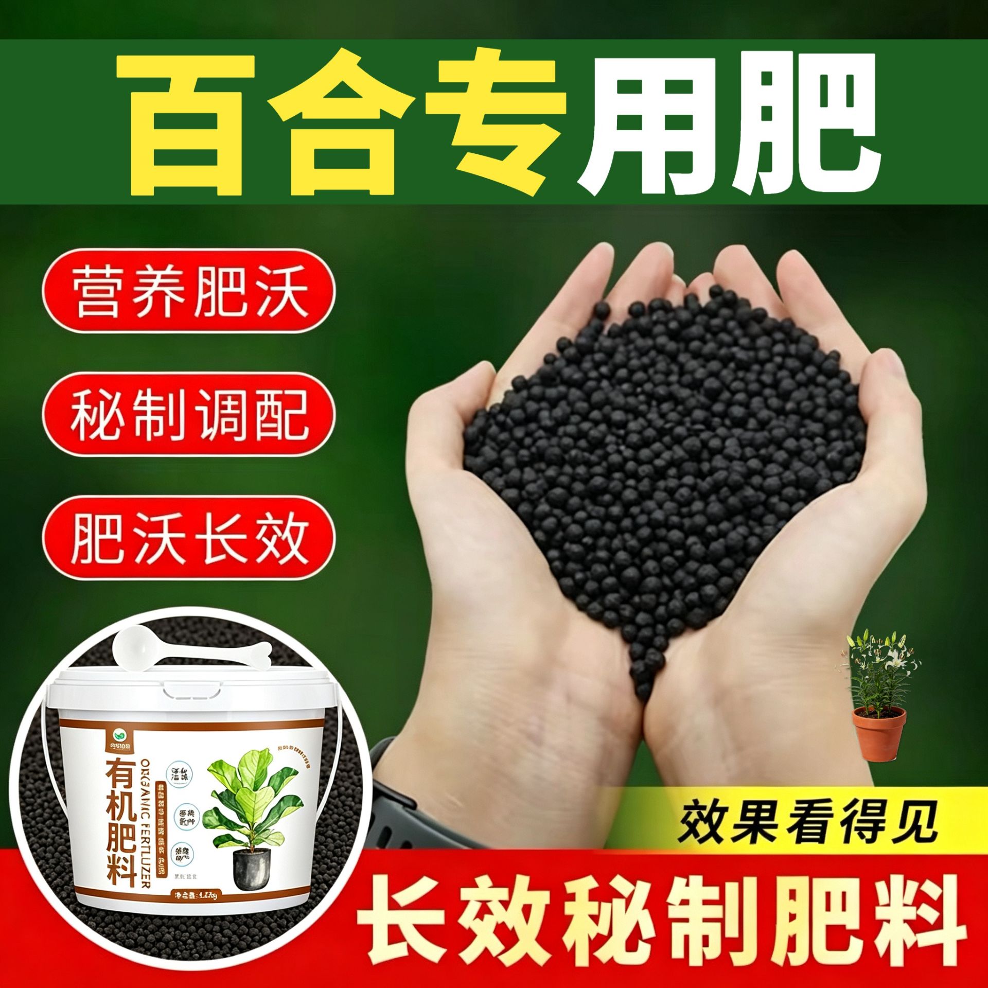 百合专用肥缓释肥促开花室内营养肥壮苗促长底肥平衡肥叶面肥园艺