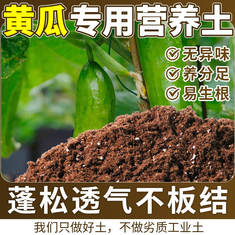 黄瓜专用种植土防徒长根壮苗好庭院植料扦插颗粒土蓬松多孔桌面
