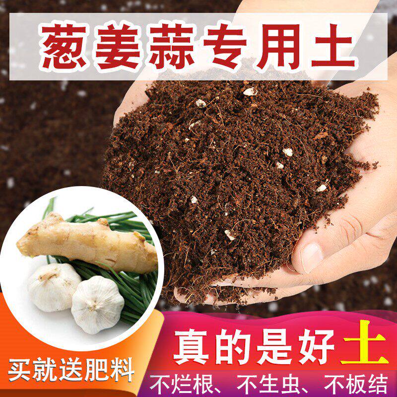 葱姜蒜专用土香葱小葱营养土种菜泥土阳台种葱专用土种菜有机土壤