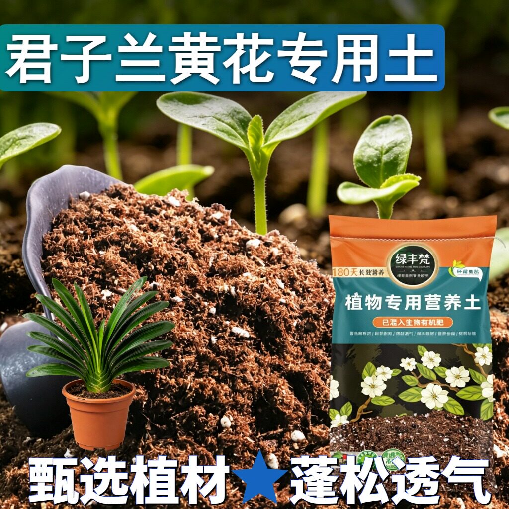君子兰黄花适用营养土种植土有机质丰富平衡土质开袋即用球根