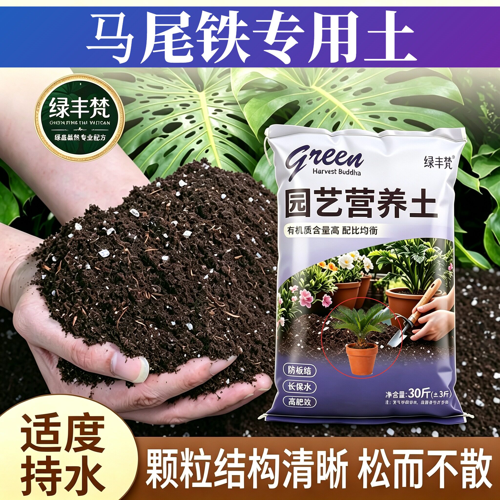 马尾铁专用种菜土根壮苗好阳台包邮进口增色球根天然大包加珍珠岩