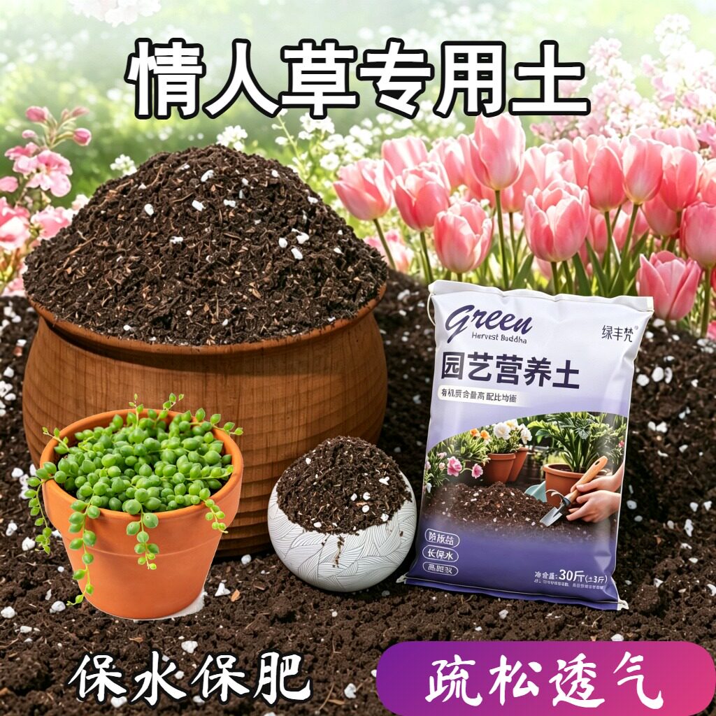 情人草适用进口泥炭土防烂根高温灭菌花园加牛粪无菌增色球根木本