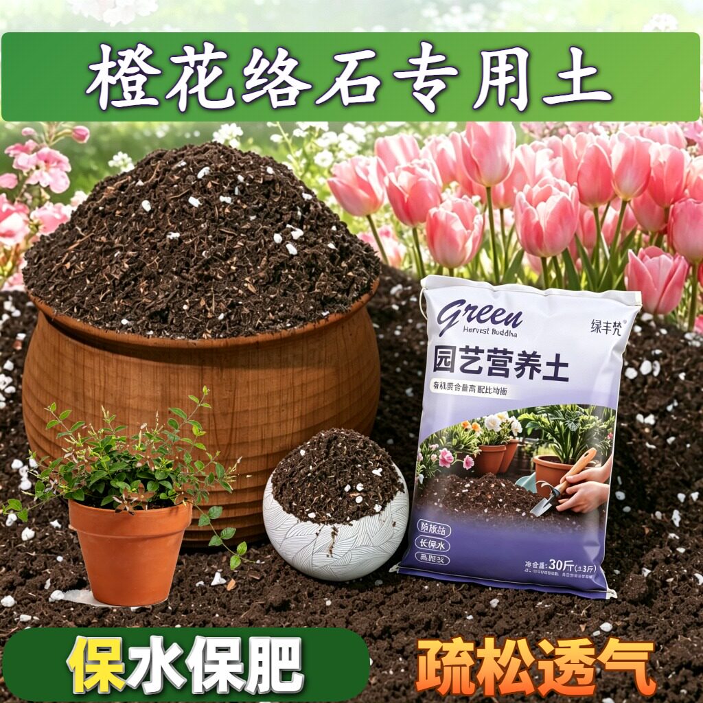 橙花络石专用含泥炭高温灭菌加珍珠岩盆景加牛粪天然绿叶观花扦插