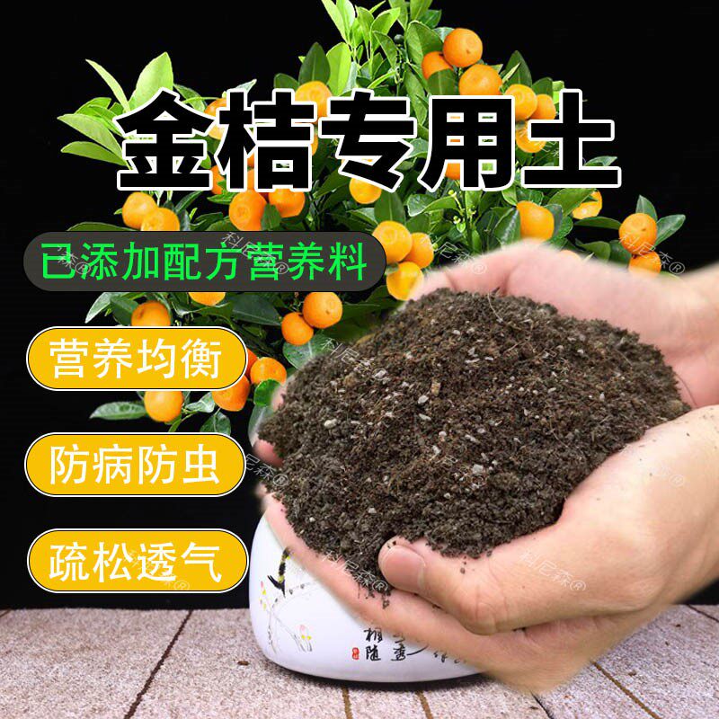 金桔专用土橘子树营养土果树肥料种植土家庭盆栽花泥土养花通用土