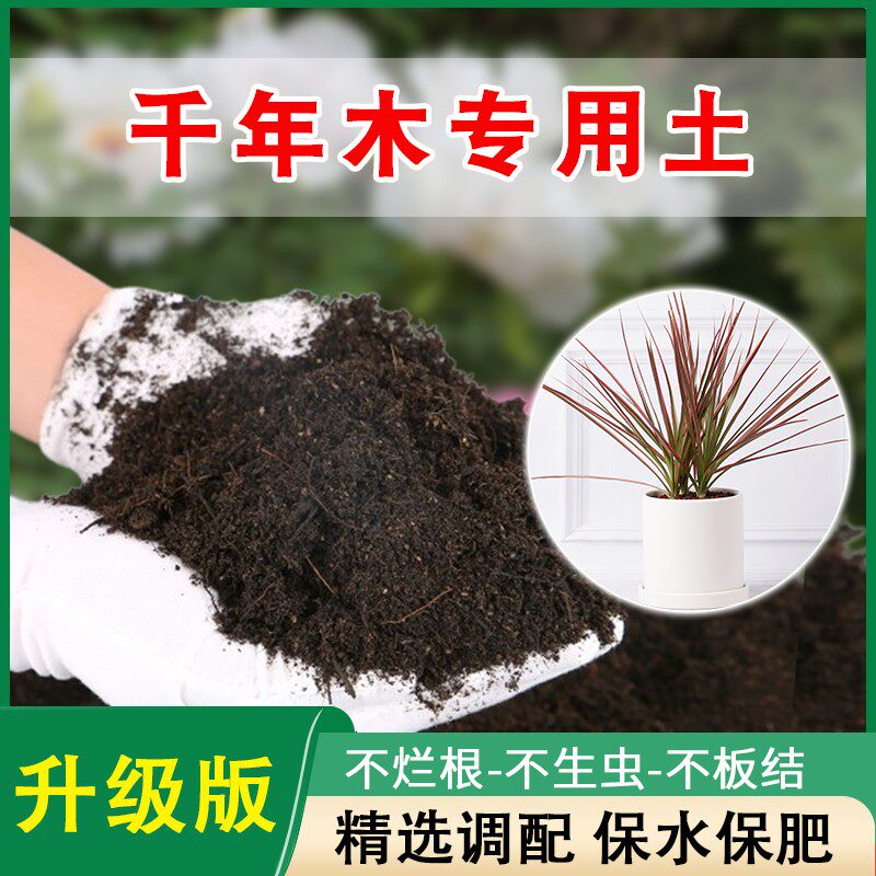 千年木专用土七彩铁培植土壤老桩马尾铁大型绿植通用营养土花卉土