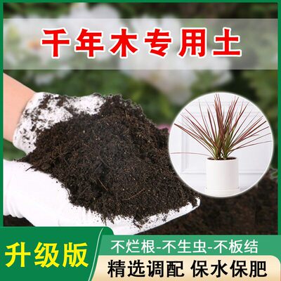 千年木专用土七彩铁培植土壤老桩马尾铁大型绿植通用营养土花卉土