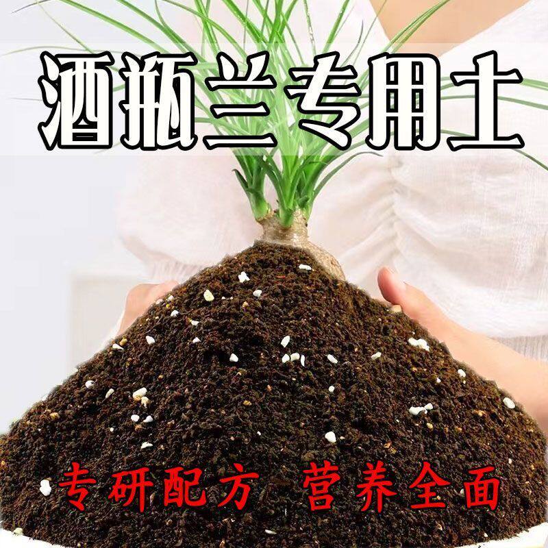 酒瓶兰专用土 通用型营养土疏松透气盆栽绿植种植土室内植物肥料