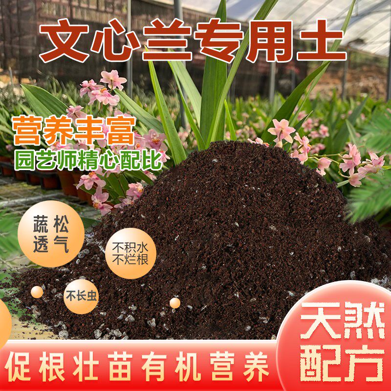 文心兰盆栽基质保水保肥扦插家庭园艺包邮腐殖泥炭土花园不板结