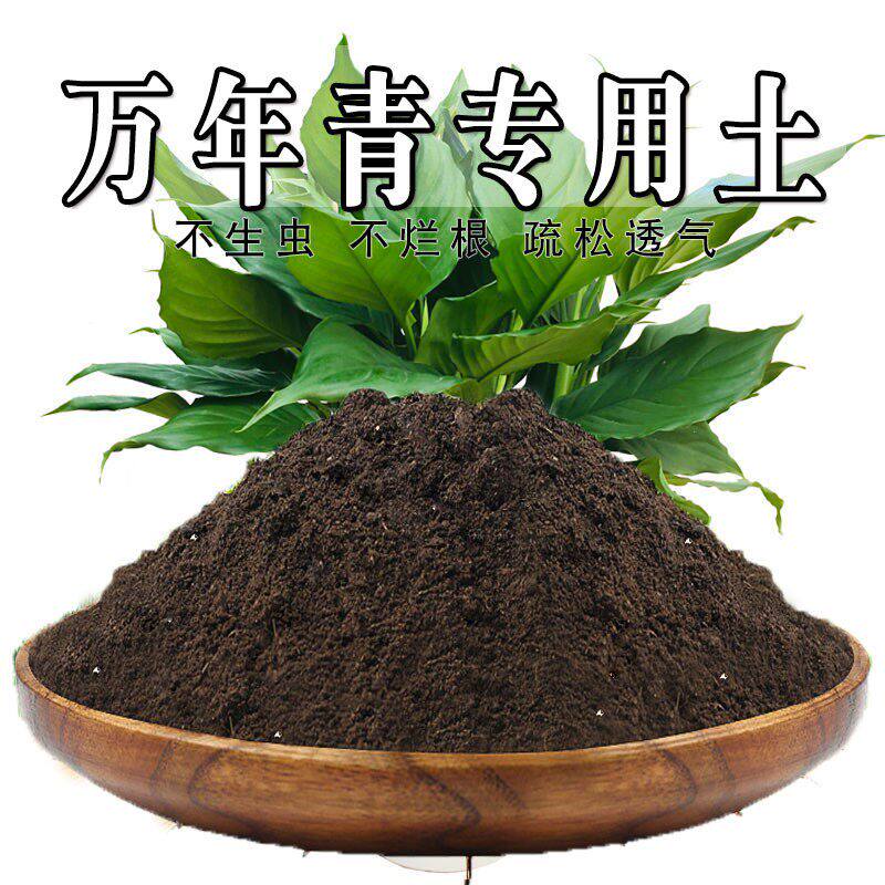 万年青专用土绿植盆栽万年青营养土养花土种植土壤通用土有机肥料