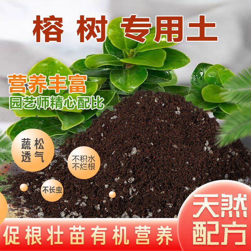 榕树土专用土盆栽盆景营养土通用酸性沙质土壤园艺绿植种植土肥料