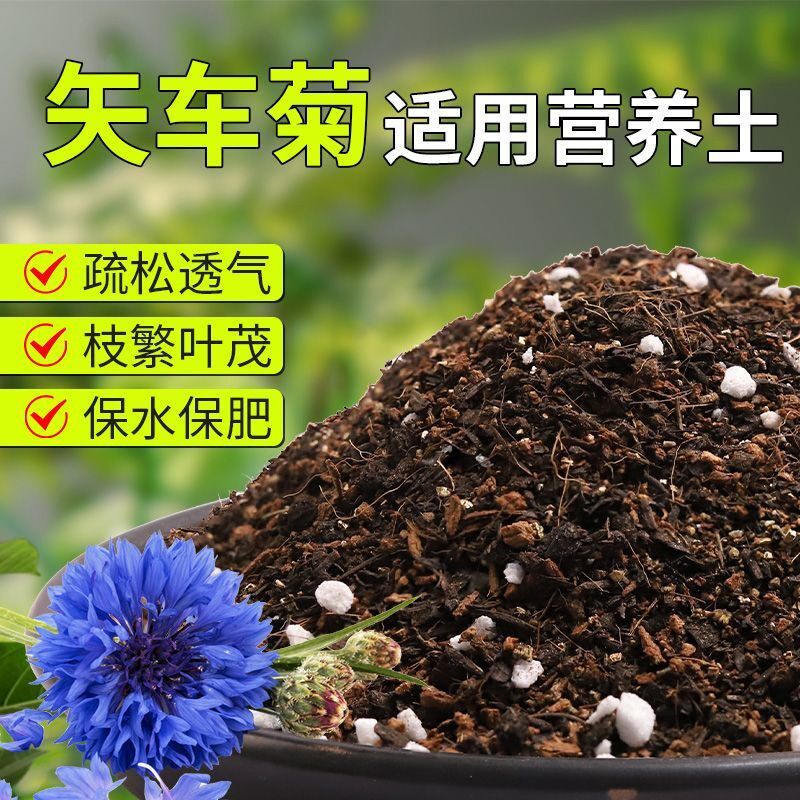 【矢车菊专用土】疏松透气盆栽绿植专用室内植物有机营养土肥料