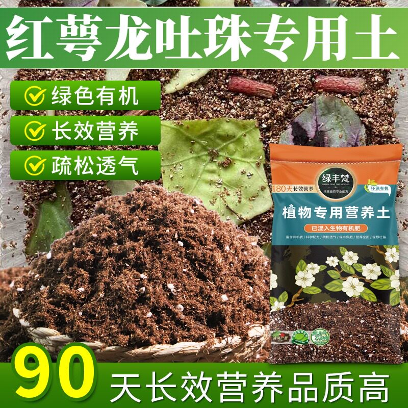 红萼龙吐珠适用轻质基质土不板结盆栽土天然保护根系开袋即用球根