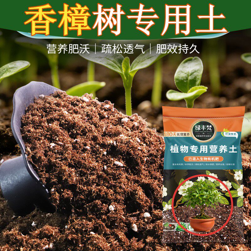 香樟树专用轻质园艺土改良土质盆栽土安全可靠减少积水无草籽观叶