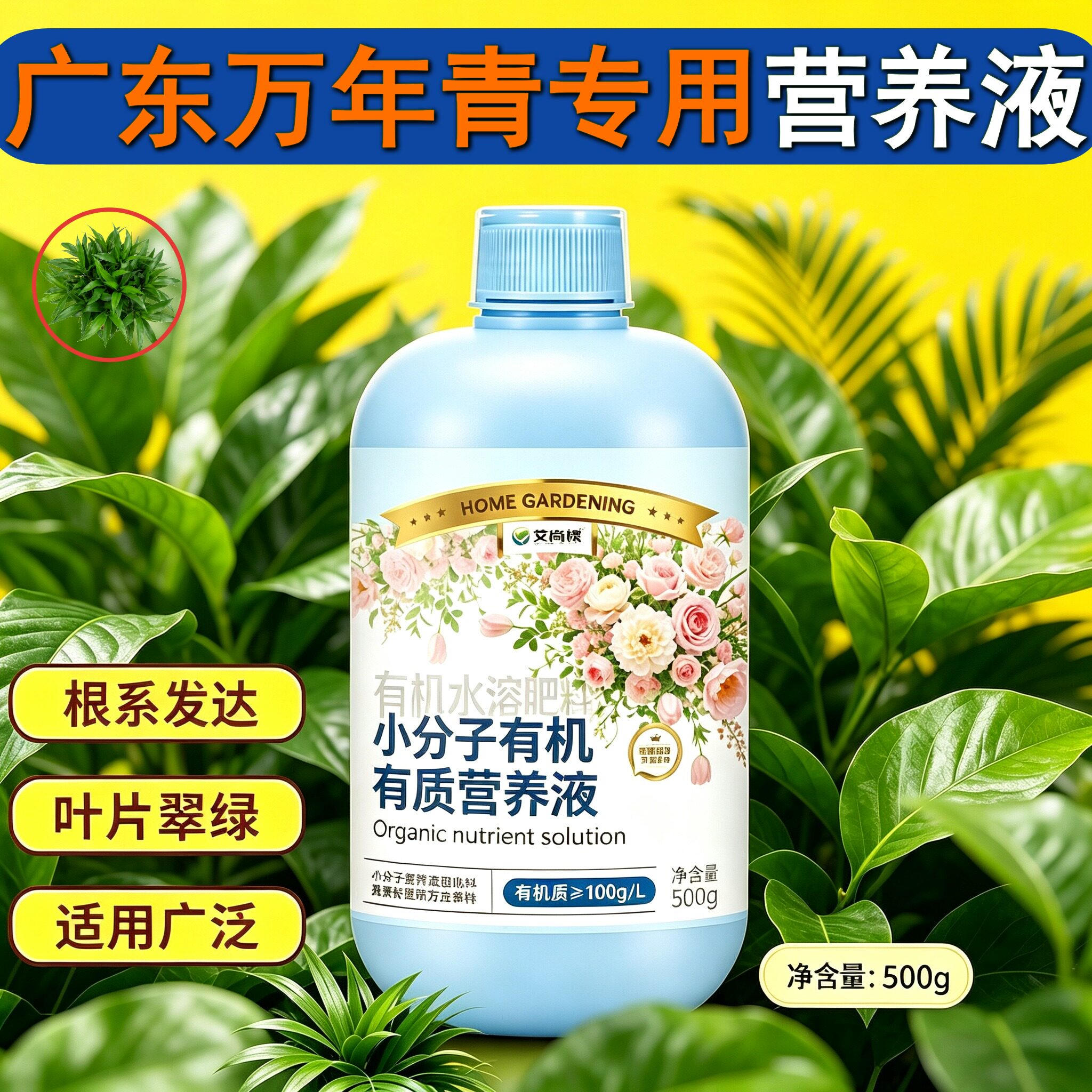 广东万年青专用小分子营养液壮根促长适用广泛盆栽园艺浓缩高效