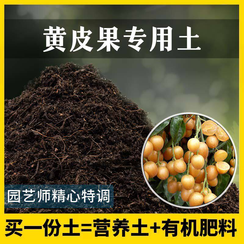黄皮果专用土农业果园种植土家庭果树有机泥土盆栽土黄皮果营养土