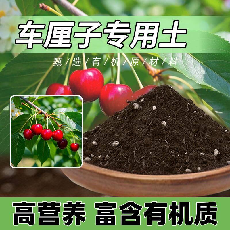 车厘子专用土黑土盆景专用土家用盆栽阳台农业有机肥果苗土壤绿植