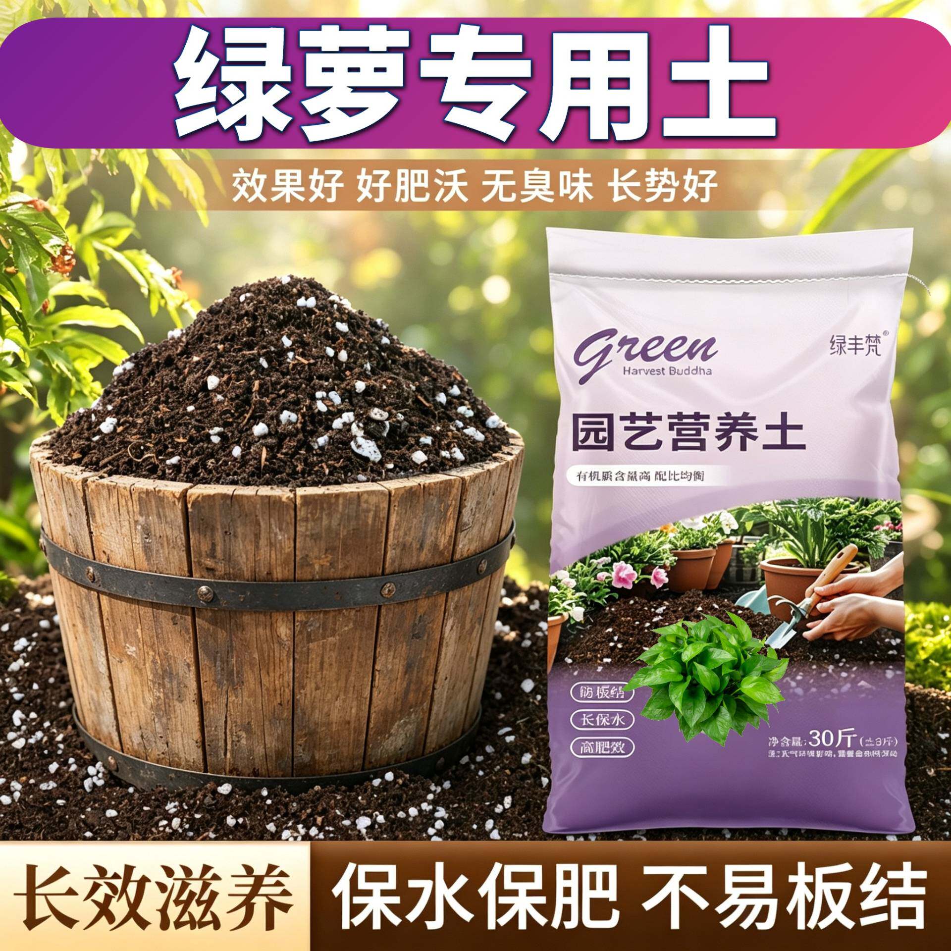 绿萝适用含泥炭不板结加珍珠岩扦插加有机肥有机促生长观花精选
