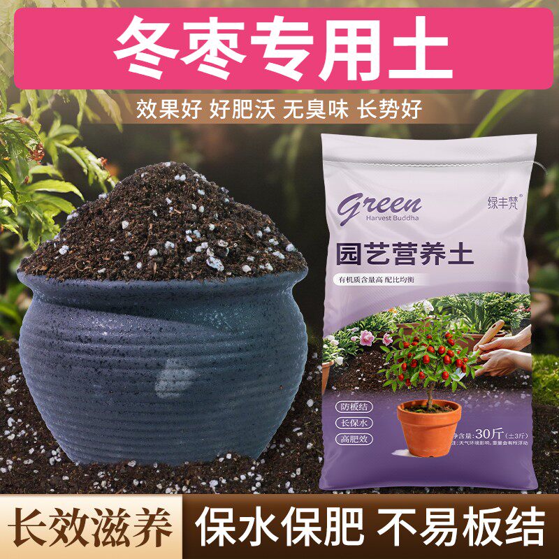 冬枣适用基质防烂根花园包邮精选防徒长木本种菜土不板结盆栽球根