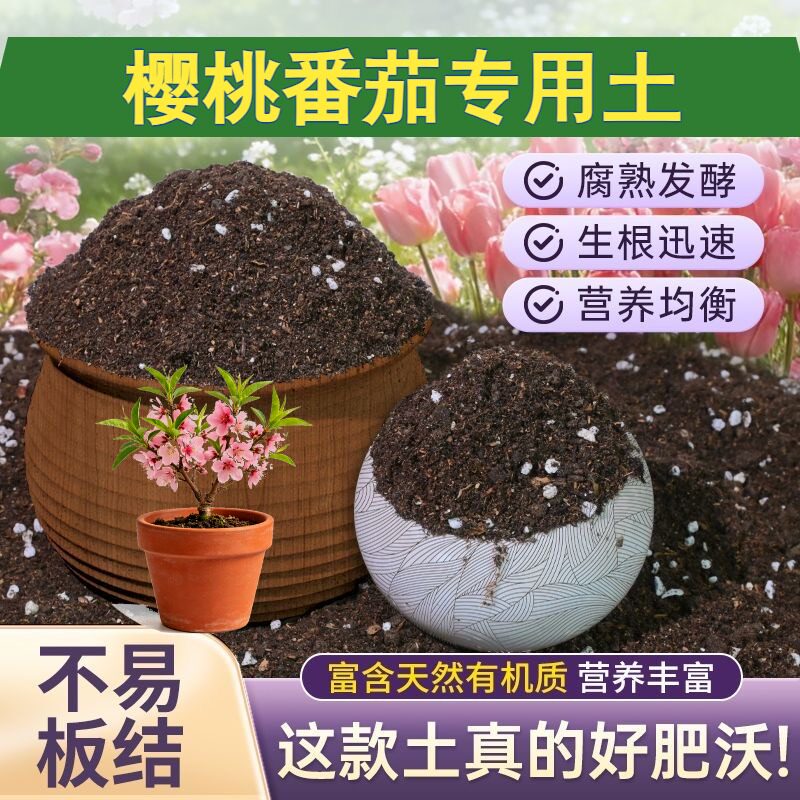 樱桃番茄适用栽培土加珍珠岩不烂根加深生根粉有机壮根观叶