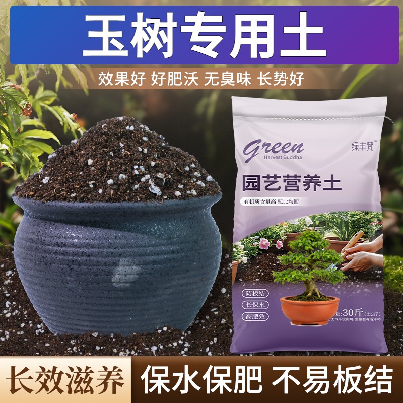 玉树专用营养土不闷根不板结家庭园艺泥炭基质进口防黄叶木本绿叶