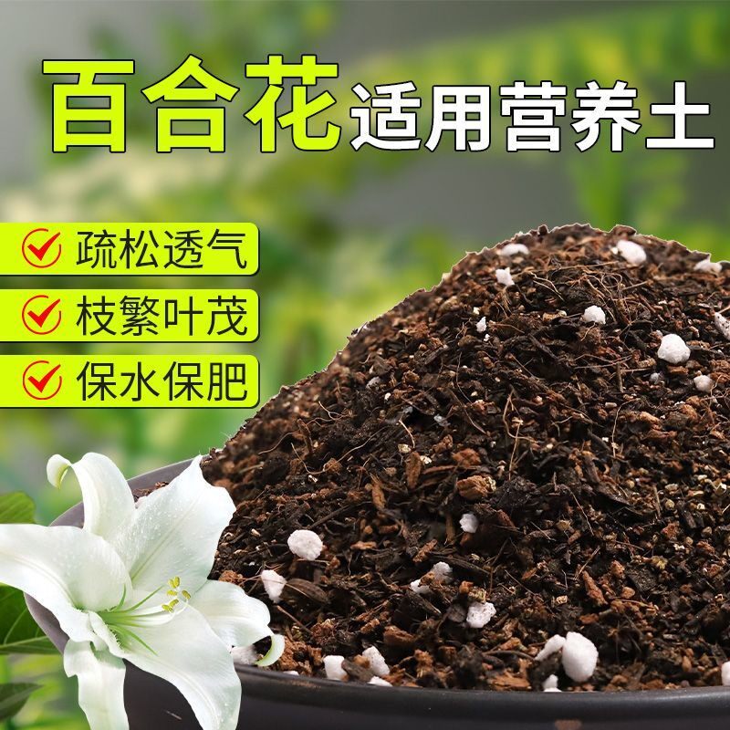 【百合花专用土】疏松透气盆栽绿植专用室内植物有机营养土肥料
