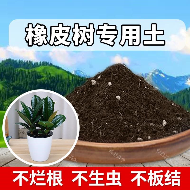 橡皮树专用土肥料橡皮树专用营养土泥土蓬松盆栽土养花种植有机土