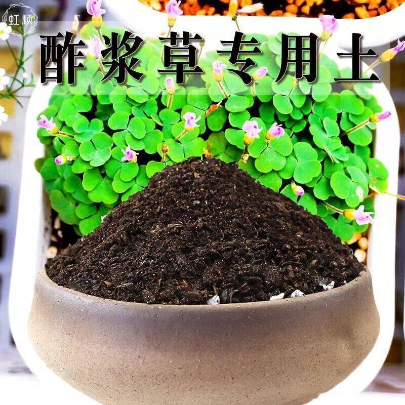 酢浆草专用土酢浆草土养花营养土通用种花土壤花卉种植土有机肥料