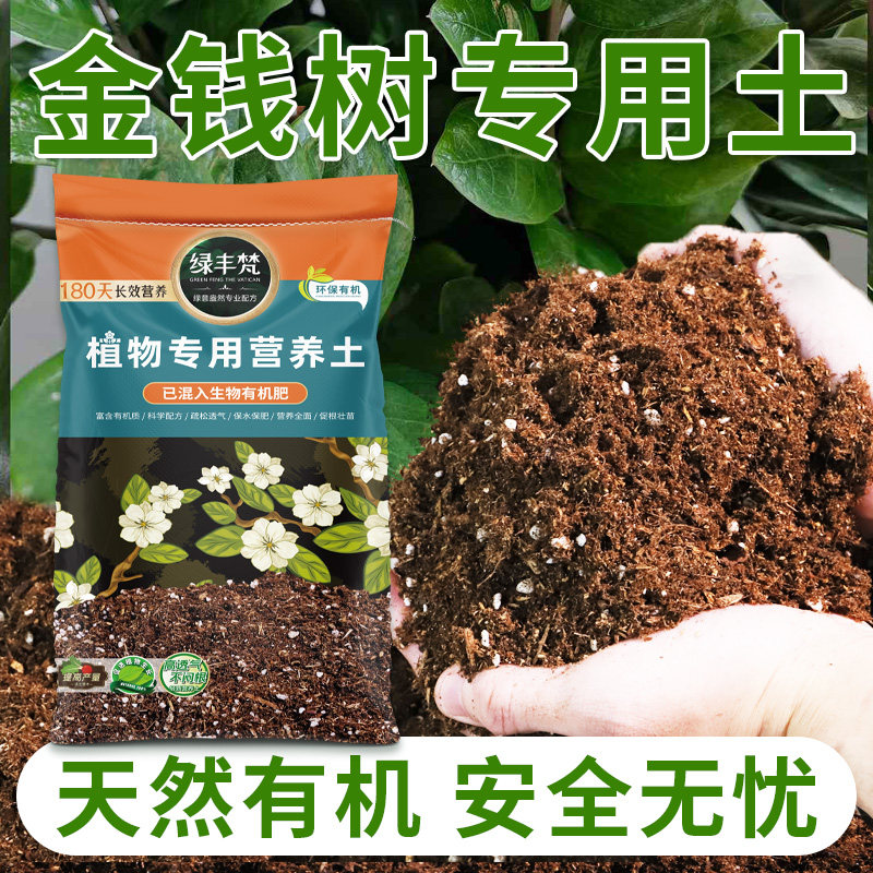 金钱树适用轻质土不板结家庭盆栽土温和不烧根改良基质无草籽球根