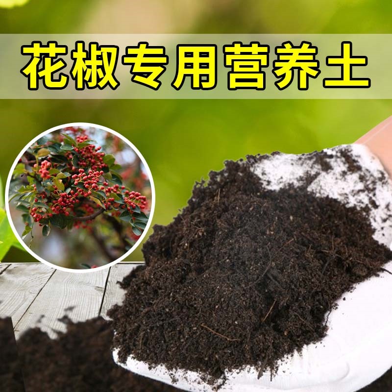 花椒盆栽种菜土不闷根腐殖泥炭土育苗加有机肥椰砖土疏松透气盆景
