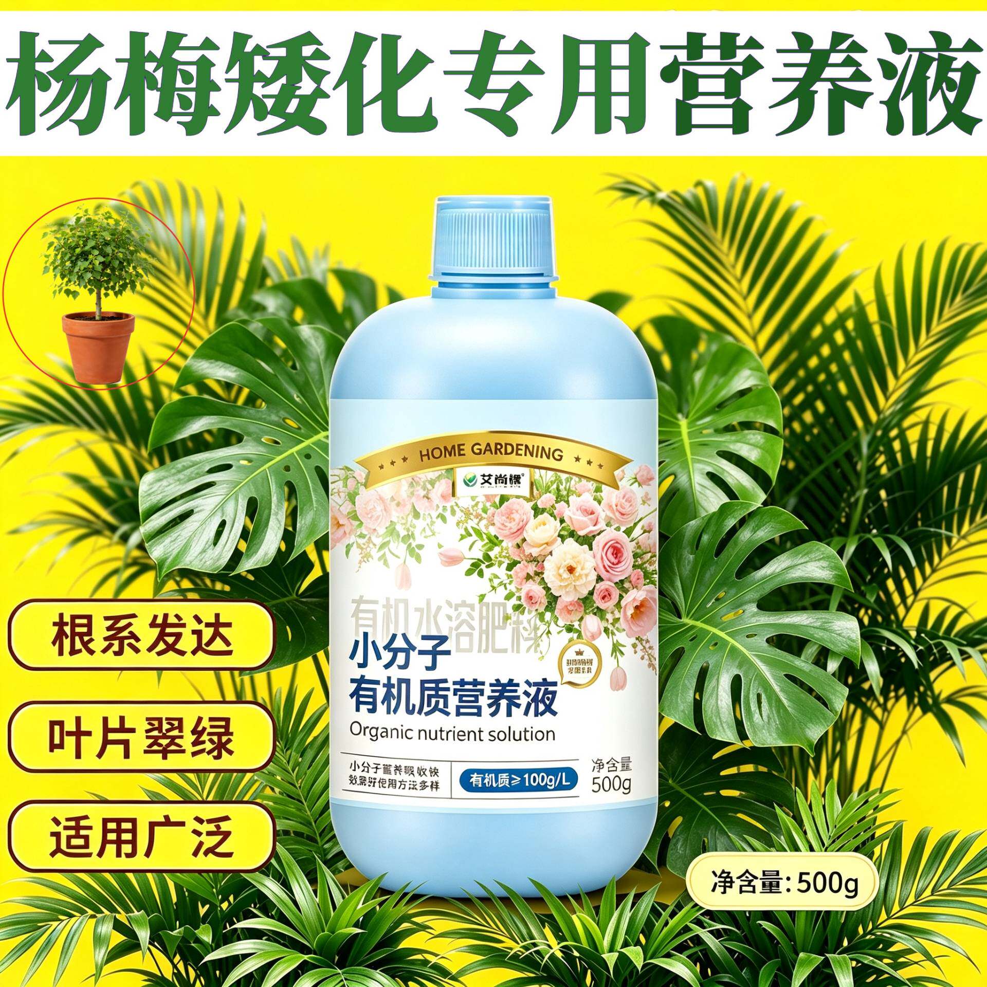杨梅矮化专用有机营养液根叶双补盆栽园艺兑水即用家用叶绿花艳