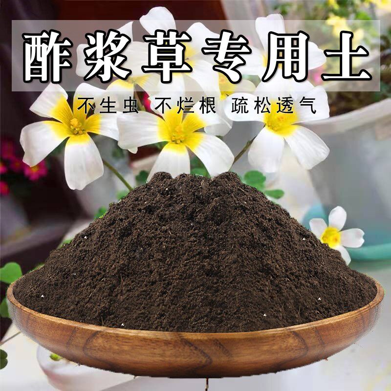 酢浆草专用土生根营养种球肥料土养花土壤花卉盆栽土阳台种植土