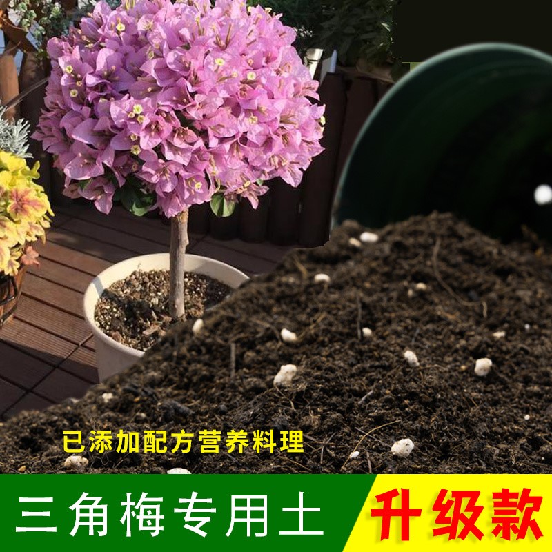 三角梅专用种植土科学配比扦插营养土有机观叶保水保肥轻质园艺土