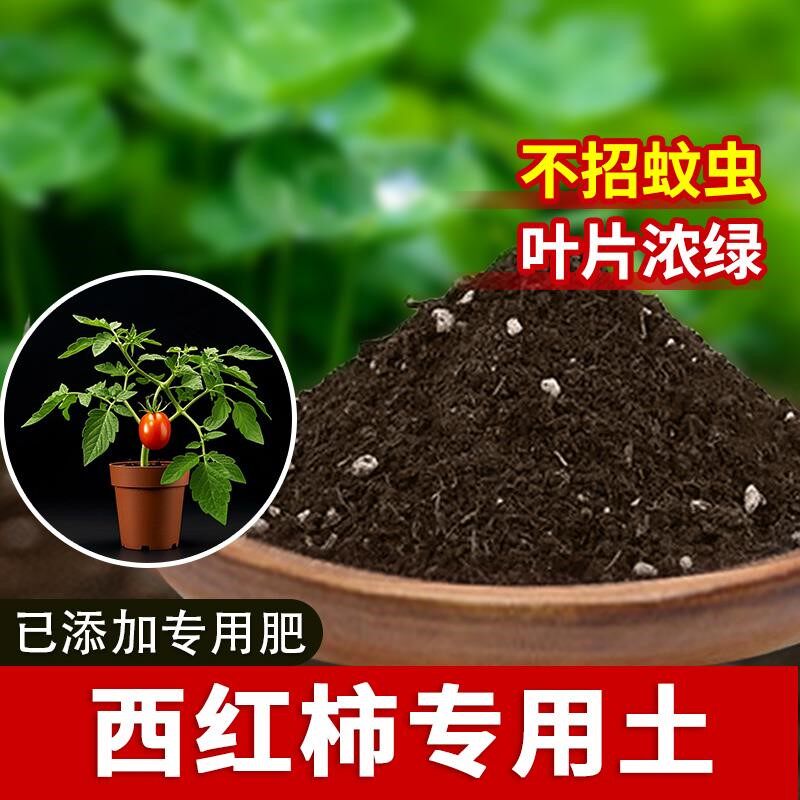 西红柿专用土菜地泥土栽培土种菜西红柿专用营养土种植土阳台土壤