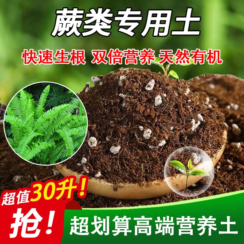蕨类专用泥炭土轻质土防烂根屋顶种植土进口喜酸保水保肥科学配比
