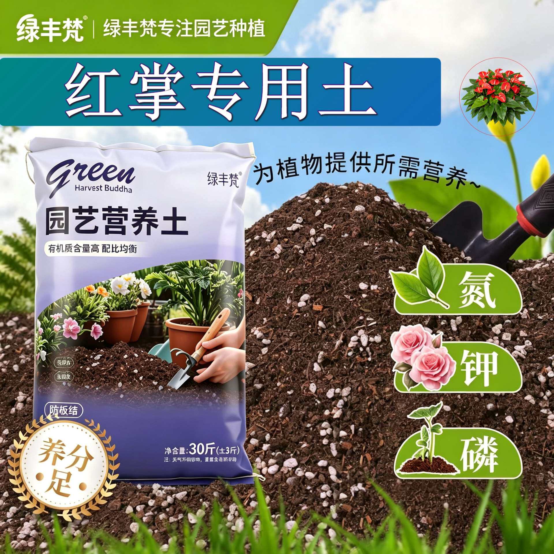 红掌适用进口泥炭土不板结加珍珠岩菜园加牛粪精选绿叶喜酸多肉