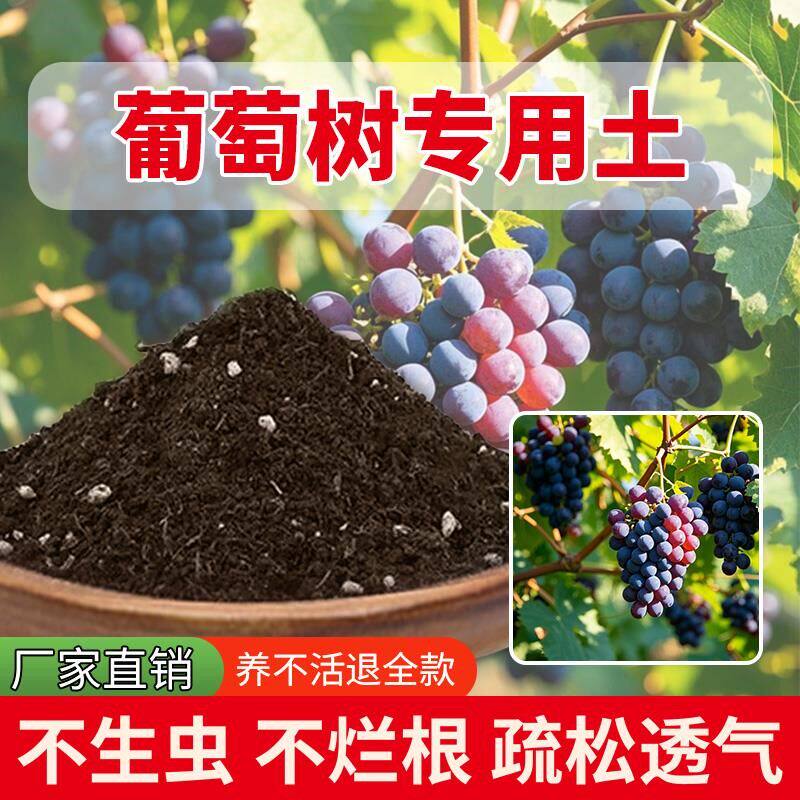 葡萄树专用土疏松黑土果树种植盆栽有机室内养花专用土植物通用