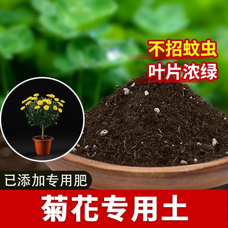 菊花专用土种花土养花花卉阳台种植土育苗花土菊花专用营养土天然