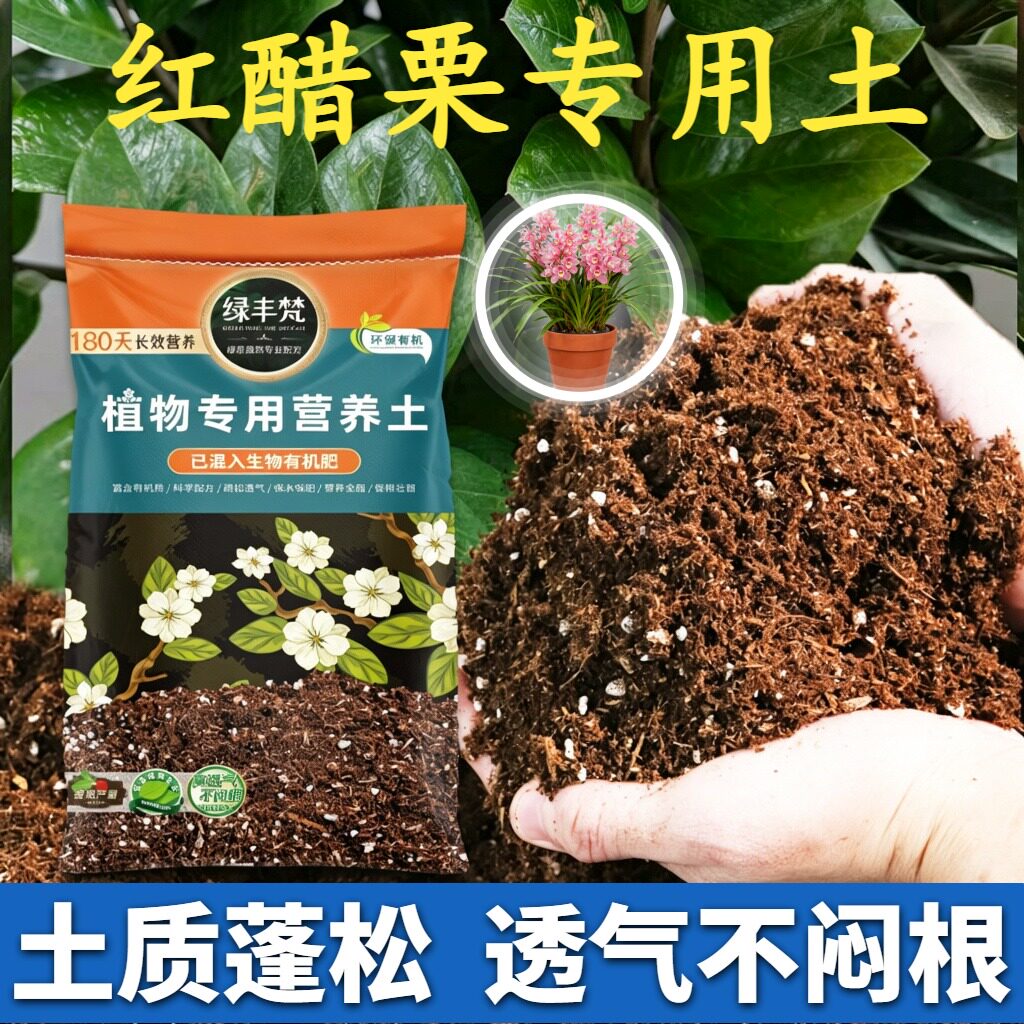 红醋栗适用轻质土根壮苗好盆栽营养土原生材质平衡土质试用装球根