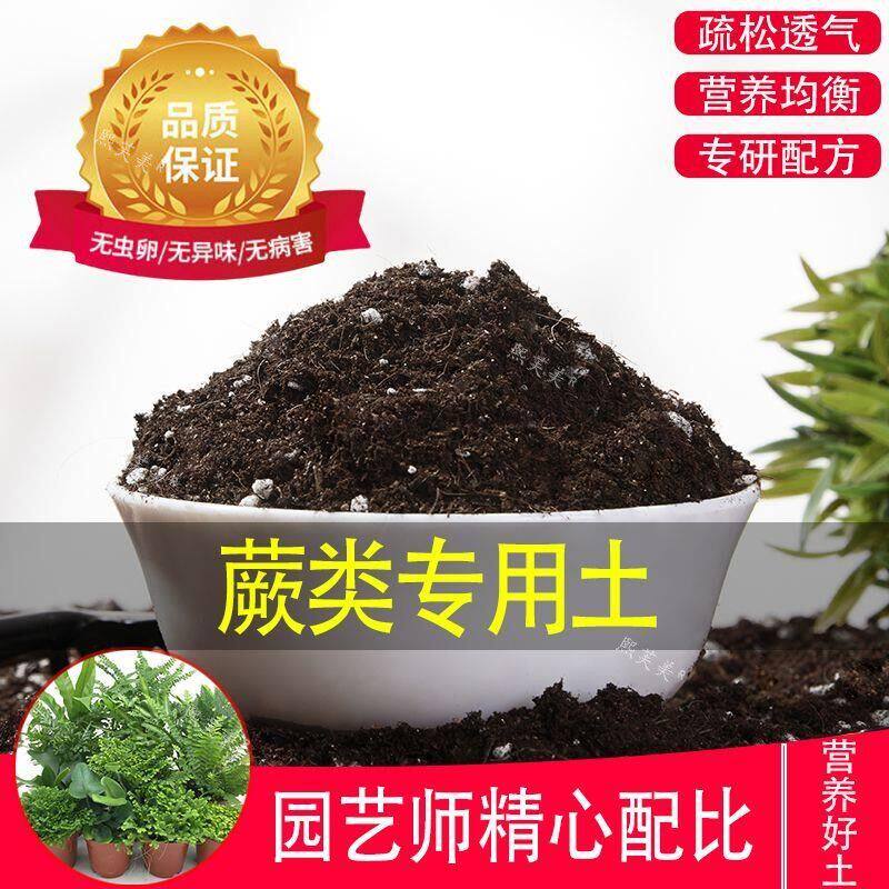 蕨类专用土种植营养土蕨类植物养花土通用家用种花专用腐殖土泥土