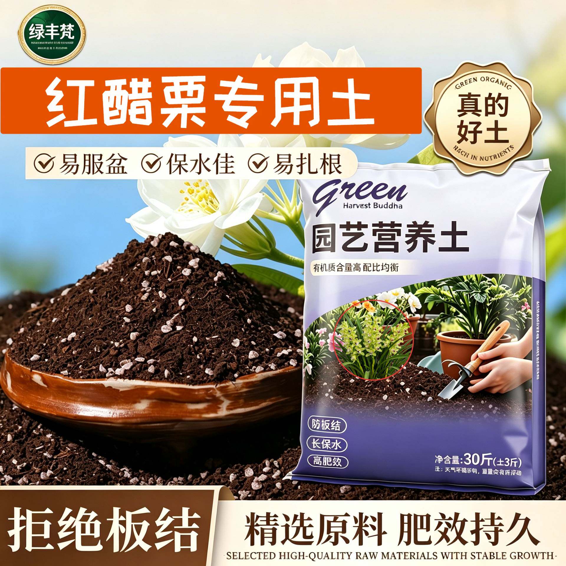 红醋栗适用进口泥炭土根壮苗好室内包邮有机绿叶喜酸优质壮根多肉