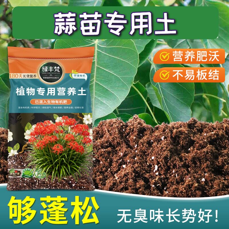 蒜苗适用泥炭土干湿循环好种植土细腻均匀改善板结开袋即用观花