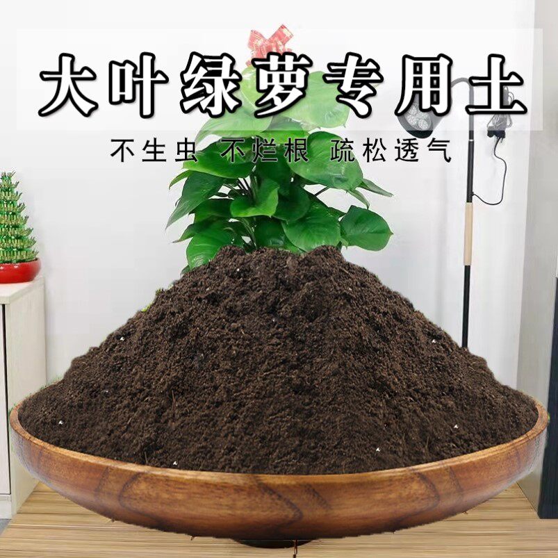 绿萝专用土家庭多肉土养花盆栽土壤肥料绿萝专用营养土育苗花土