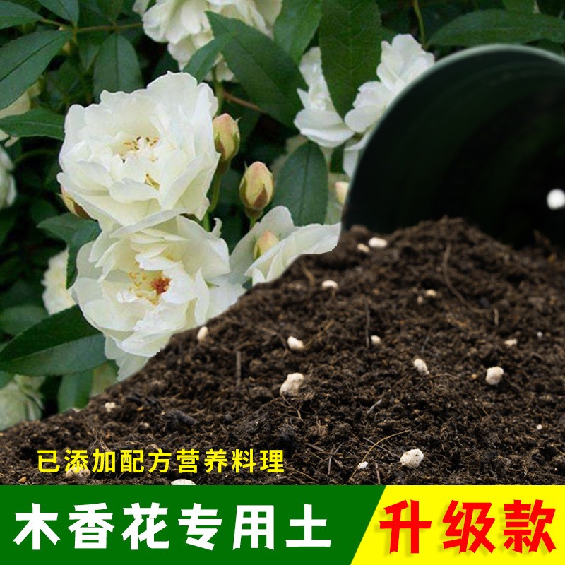木香花通用种菜土基质疏松透气保水锁肥室内包邮无菌干净轻质土