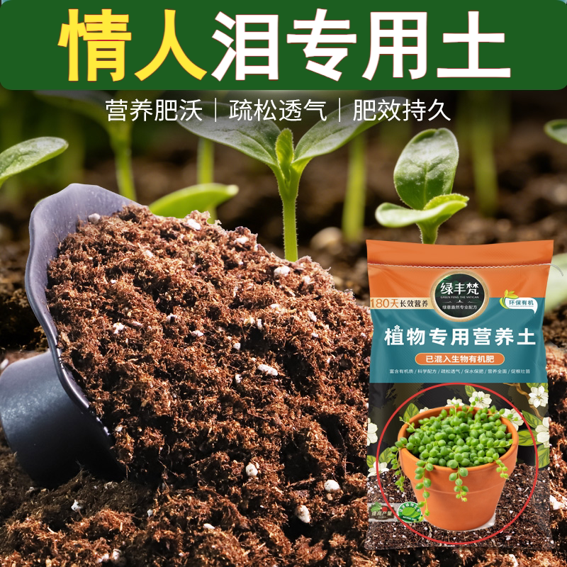 情人泪适用园艺土土质匀细无杂草籽花圃培植新手友好盆栽爱好者